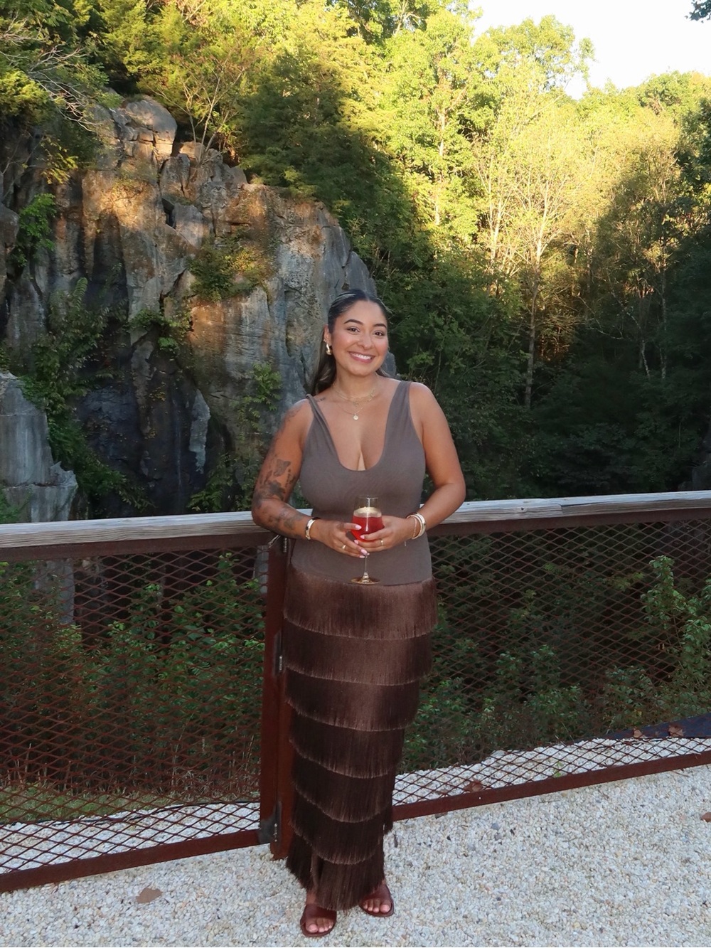 PLT LABEL DARK CHOCOLATE MESH FRINGE SKIRT MAXI DRESS